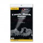 2X BCW Golden Comic Bags