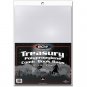10X BCW Treasury Bags