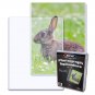 Pack of 25 BCW 6X8 Photo Topload Holder (1-TLCH-6X8)