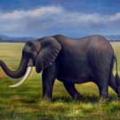 Elephant 24x36 in. stretched Oil Painting Canvas Art Wall Decor modern001