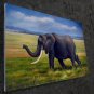 Elephant 24x36 in. stretched Oil Painting Canvas Art Wall Decor modern001