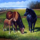 Horse 24x36 in. stretched Oil Painting Canvas Art Wall Decor modern001 Horse 24x36 in. stretched Oil Painting Canvas Art Wall Decor modern001