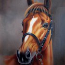 Horse 24x36 in. stretched Oil Painting Canvas Art Wall Decor modern04D