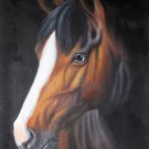 Horse 24x36 in. stretched Oil Painting Canvas Art Wall Decor modern05D