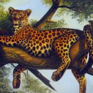 Leopard 24x36 in. stretched Oil Painting Canvas Art Wall Decor modern001