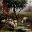 Sheep 24x36 in. stretched Oil Painting Canvas Art Wall Decor modern001