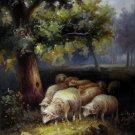 Sheep 24x36 in. stretched Oil Painting Canvas Art Wall Decor modern002