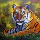 Tiger 24x36 in. stretched Oil Painting Canvas Art Wall Decor modern006