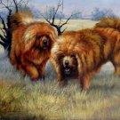 Two Tibetan mastiffs 24x36 in. stretched Oil Painting Canvas Art Wall Decor modern001 Two Tibetan mastiffs 24x36 in. stretched Oil Painting Canvas Art Wall Decor modern001