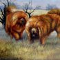 Two Tibetan mastiffs 24x36 in. stretched Oil Painting Canvas Art Wall Decor modern001