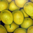 Fruit 24x36 in. stretched Oil Painting Canvas Art Wall Decor modern001