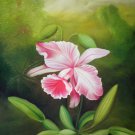 Irises 24x36 in. stretched Oil Painting Canvas Art Wall Decor modern001