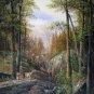 Forest 24x36 in. stretched Oil Painting Canvas Art Wall Decor modern002