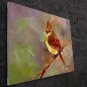 Bird Cardinal 20x24 in. stretched Oil Painting Canvas Art Wall Decor modern301