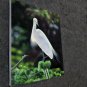 Crane 20x24 in. stretched Oil Painting Canvas Art Wall Decor modern101