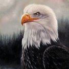 Eagle 20x24 in. stretched Oil Painting Canvas Art Wall Decor modern101 Eagle 20x24 in. stretched Oil Painting Canvas Art Wall Decor modern101