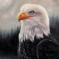 Eagle 20x24 in. stretched Oil Painting Canvas Art Wall Decor modern101