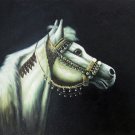 Horse 20x24 in. stretched Oil Painting Canvas Art Wall Decor modern011 Horse 20x24 in. stretched Oil Painting Canvas Art Wall Decor modern011