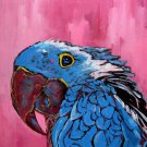 Parrot 20x24 in. stretched Oil Painting Canvas Art Wall Decor modern101