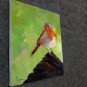 Snowscape 20x24 in. stretched Oil Painting Canvas Art Wall Decor modern502