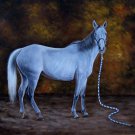 Horse 20x24 in. stretched Oil Painting Canvas Art Wall Decor modern01D Horse 20x24 in. stretched Oil Painting Canvas Art Wall Decor modern01D