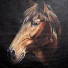 Horse 20x24 in. stretched Oil Painting Canvas Art Wall Decor modern02D