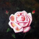 Rose 20x24 in. stretched Oil Painting Canvas Art Wall Decor modern101