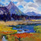Mountain 20x24 in. stretched Oil Painting Canvas Art Wall Decor modern009