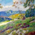 Mountain 20x24 in. stretched Oil Painting Canvas Art Wall Decor modern011