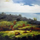 Mountain 20x24 in. stretched Oil Painting Canvas Art Wall Decor modern501