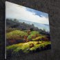 Mountain 20x24 in. stretched Oil Painting Canvas Art Wall Decor modern501