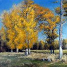 Country 20x24 in. stretched Oil Painting Canvas Art Wall Decor modern306