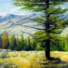 Mountain 20x24 in. stretched Oil Painting Canvas Art Wall Decor modern302