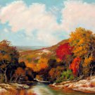 Mountain 20x24 in. stretched Oil Painting Canvas Art Wall Decor modern308
