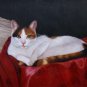 prtrait of pet cat 20x24 in. stretched Oil Painting Canvas Art Wall Decor modern005
