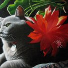 prtrait of pet cat 20x24 in. stretched Oil Painting Canvas Art Wall Decor modern012