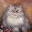 prtrait of pet cat 20x24 in. stretched Oil Painting Canvas Art Wall Decor modern014