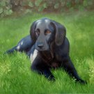 prtrait of pet dog 20x24 in. stretched Oil Painting Canvas Art Wall Decor modern005 prtrait of pet dog 20x24 in. stretched Oil Painting Canvas Art Wall Decor modern005