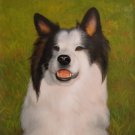 prtrait of pet dog 20x24 in. stretched Oil Painting Canvas Art Wall Decor modern016