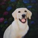 prtrait of pet dog 20x24 in. stretched Oil Painting Canvas Art Wall Decor modern020