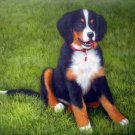 prtrait of pet dog 20x24 in. stretched Oil Painting Canvas Art Wall Decor modern030 prtrait of pet dog 20x24 in. stretched Oil Painting Canvas Art Wall Decor modern030