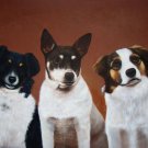 prtrait of pet dog 20x24 in. stretched Oil Painting Canvas Art Wall Decor modern032