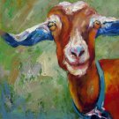 Goat 20x20 in. stretched Oil Painting Canvas Art Wall Decor modern01D