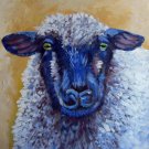 Sheep 20x20 in. stretched Oil Painting Canvas Art Wall Decor modern01D