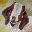 Sheep 20x20 in. stretched Oil Painting Canvas Art Wall Decor modern02D