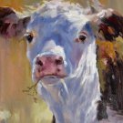 Cow 16x20 in. stretched Oil Painting Canvas Art Wall Decor modern206