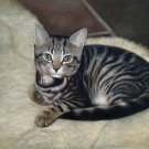 prtrait of pet cat 16x20 in. stretched Oil Painting Canvas Art Wall Decor modern004