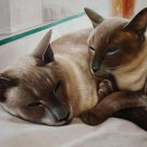 prtrait of pet cat 16x20 in. stretched Oil Painting Canvas Art Wall Decor modern010