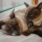 prtrait of pet cat 16x20 in. stretched Oil Painting Canvas Art Wall Decor modern010