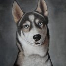 prtrait of pet dog 16x20 in. stretched Oil Painting Canvas Art Wall Decor modern003
